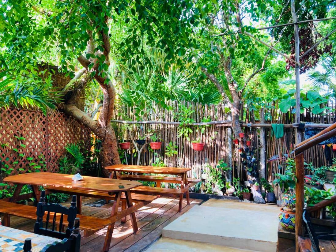 Hostal Holbox Εξωτερικό φωτογραφία