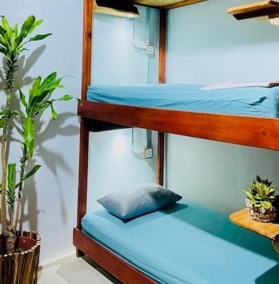 Hostal Holbox Εξωτερικό φωτογραφία